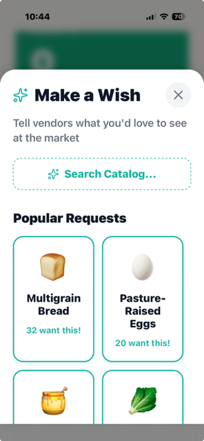 Make A Wish Market Survey